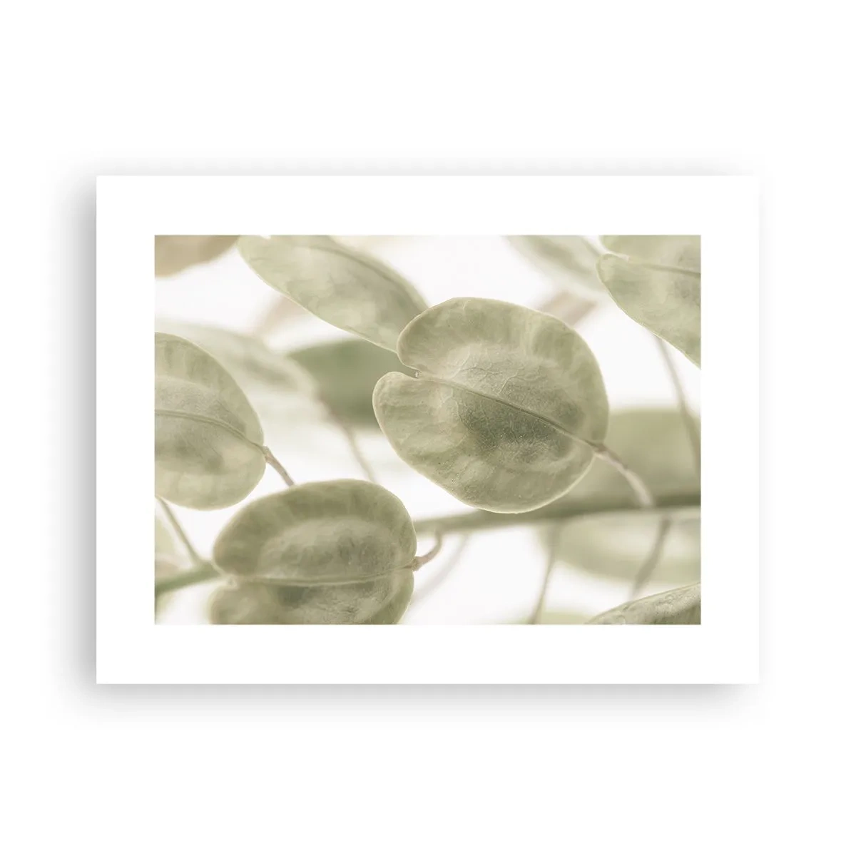 Poster - La început au fost frunzele... - 40x30 cm