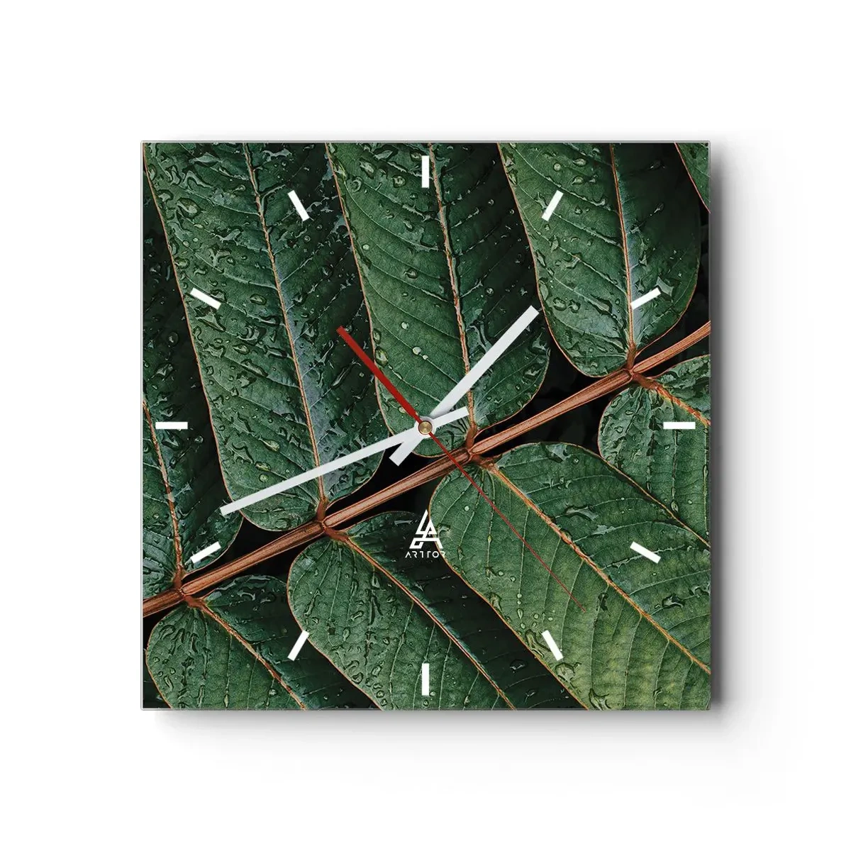 Ceas de perete - Ceas pe sticlă - Într-un ritm verde - 30x30 cm