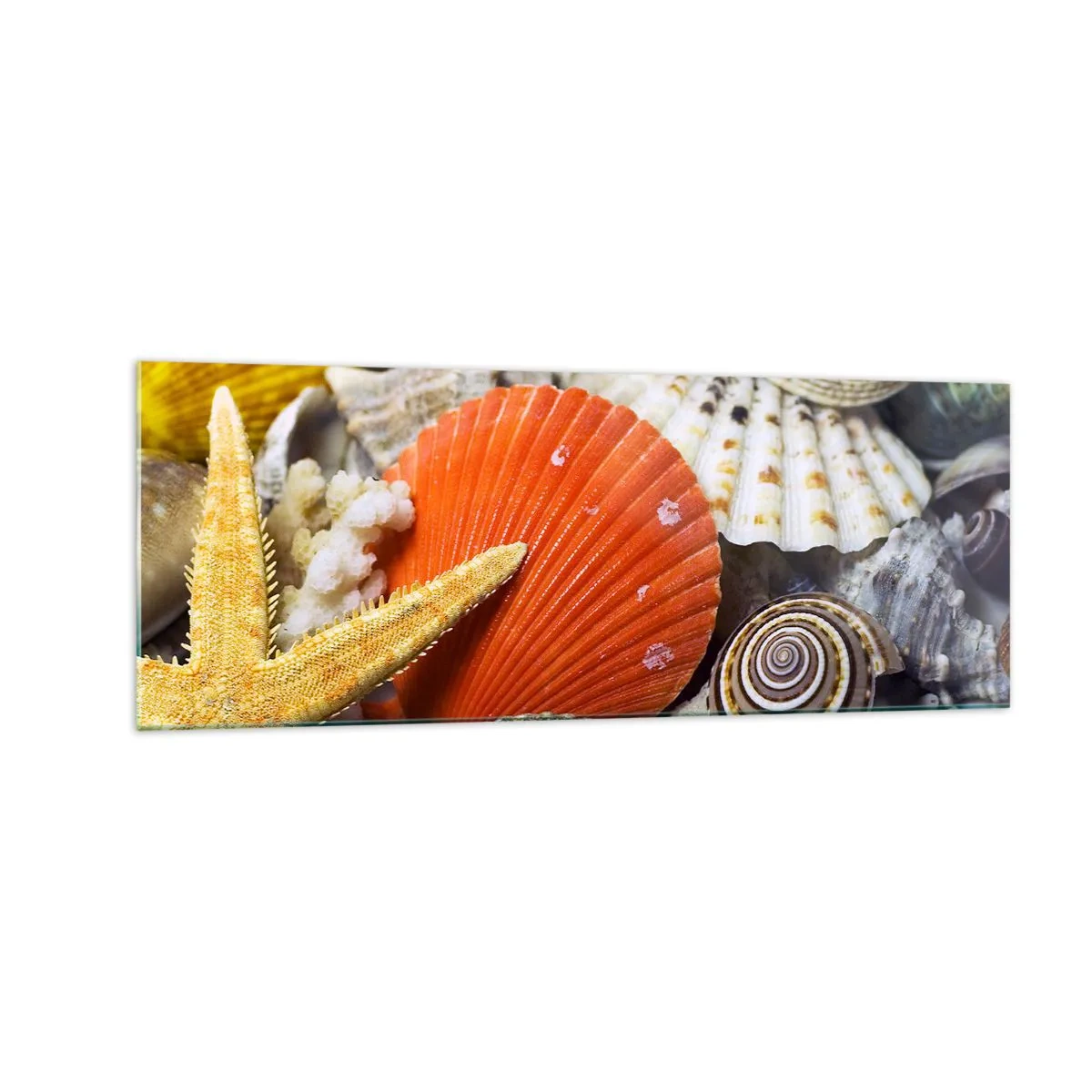 Tablou pe sticlă - Comorile oceanului - 140x50 cm