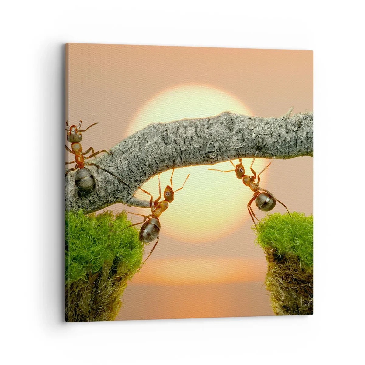 Tablou pe pânză - Cooperare veselă - 70x70 cm