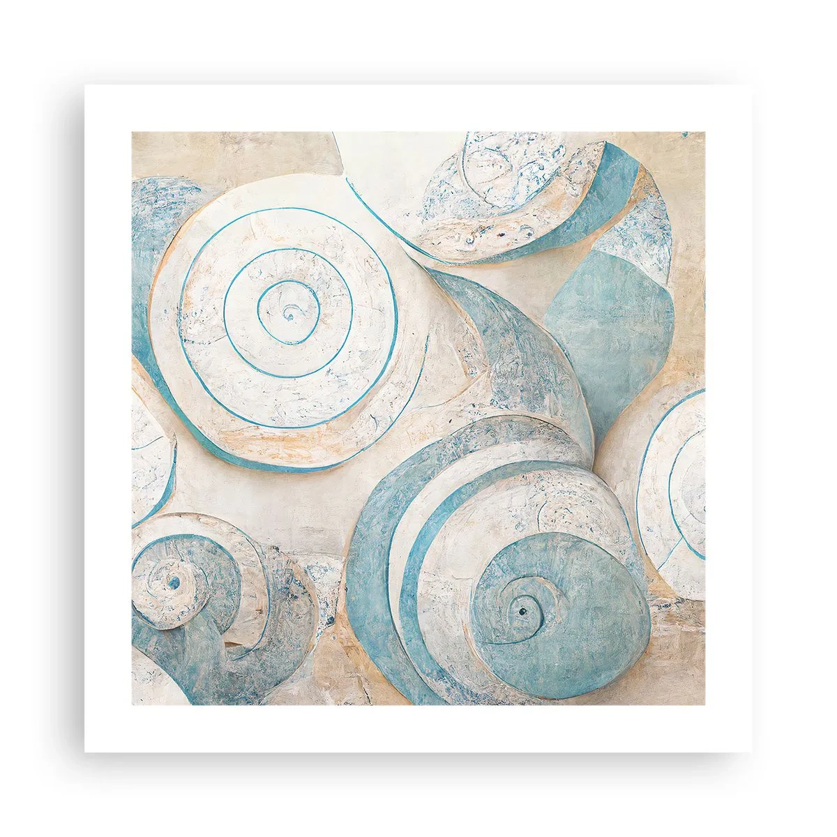 Poster - Ce ascunde cochilia? - 50x50 cm