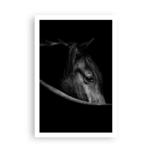 Poster - Prințul negru - 61x91 cm