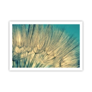 Poster - Așteptând vântul - 91x61 cm