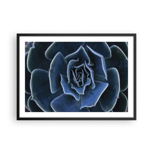 Poster în ramă neagră - Floare de deșert - 70x50 cm