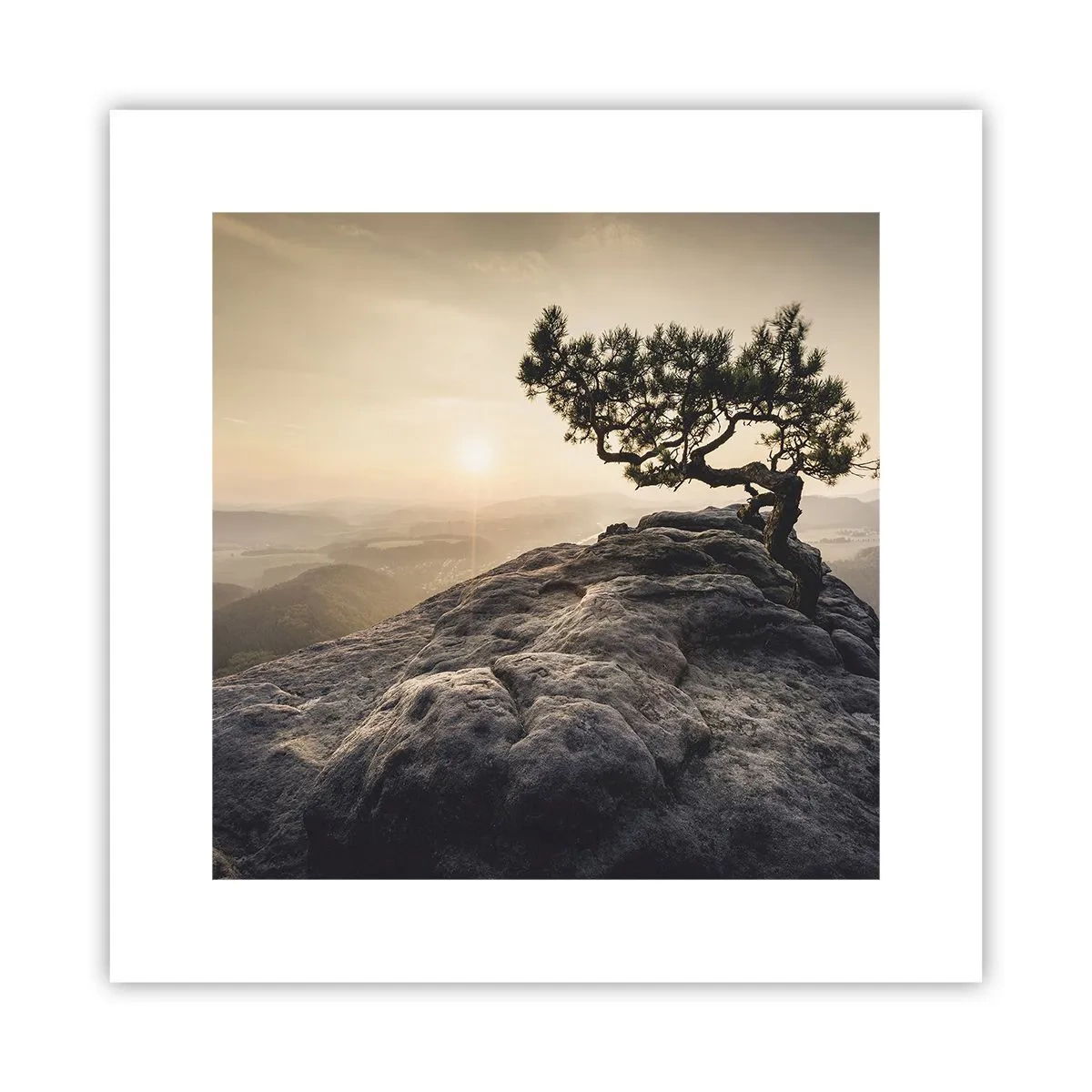 Poster - Viața învinge întotdeauna - 30x30 cm
