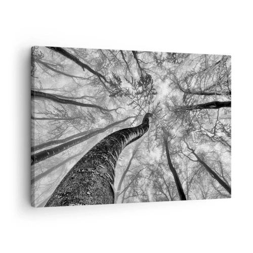 Tablou pe pânză Canvas - Perspectiva copacilor dintr-o pădure văzuți de jos în nuanțe de gri - 70x50cm - Cursa spre lumină - Decorațiune modernă pentru perete pentru living și dormitor ARTTOR