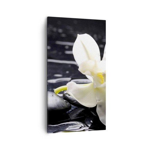 Tablou pe pânză - Studiu în alb și negru - 45x80 cm