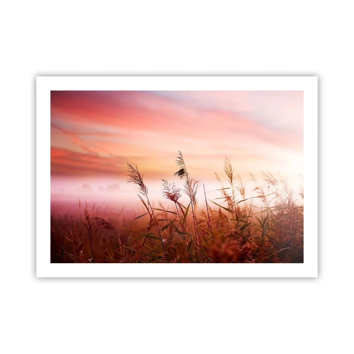 Poster - Zmeuri, suflante, vânt - 70x50 cm