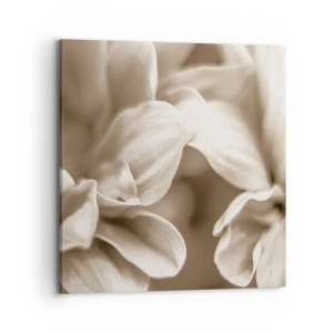 Tablou pe pânză - Blânde ca un zâmbet - 70x70 cm