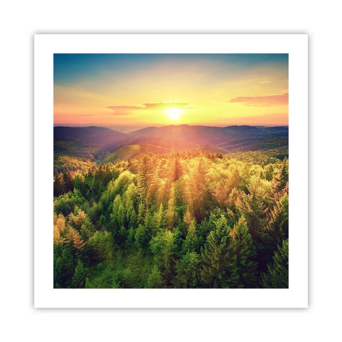 Poster - Vârfuri și culmi - 50x50 cm