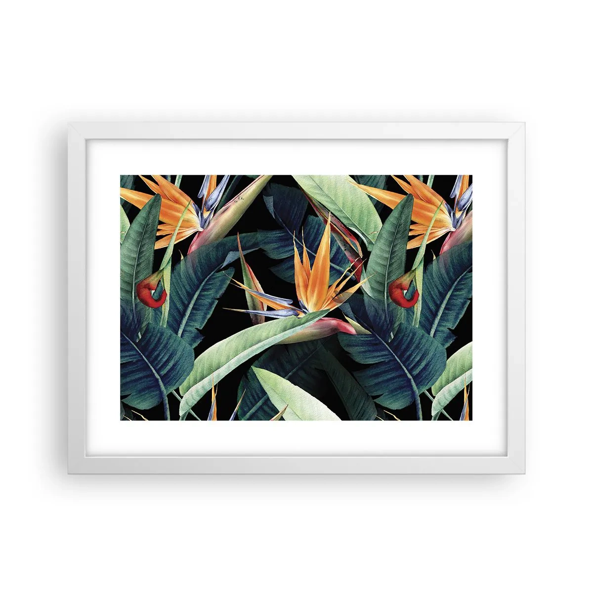 Poster în ramă albă - Florile de flacără ale tropicelor - 40x30 cm