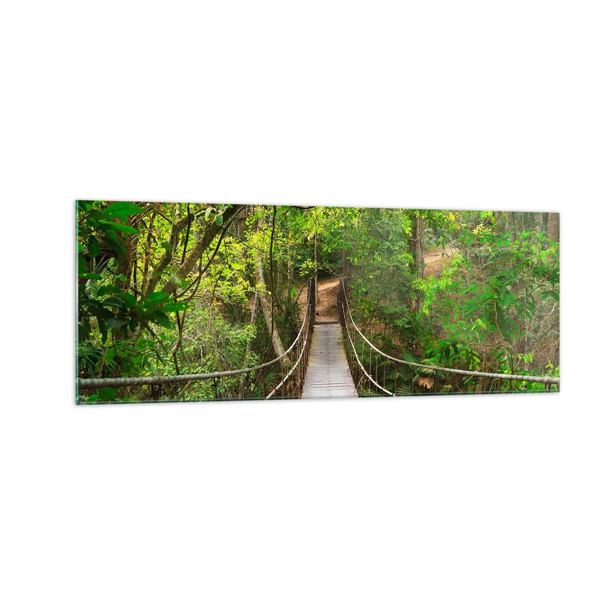 Tablou pe sticlă - Pentru că în grădină crește o liană - 140x50 cm