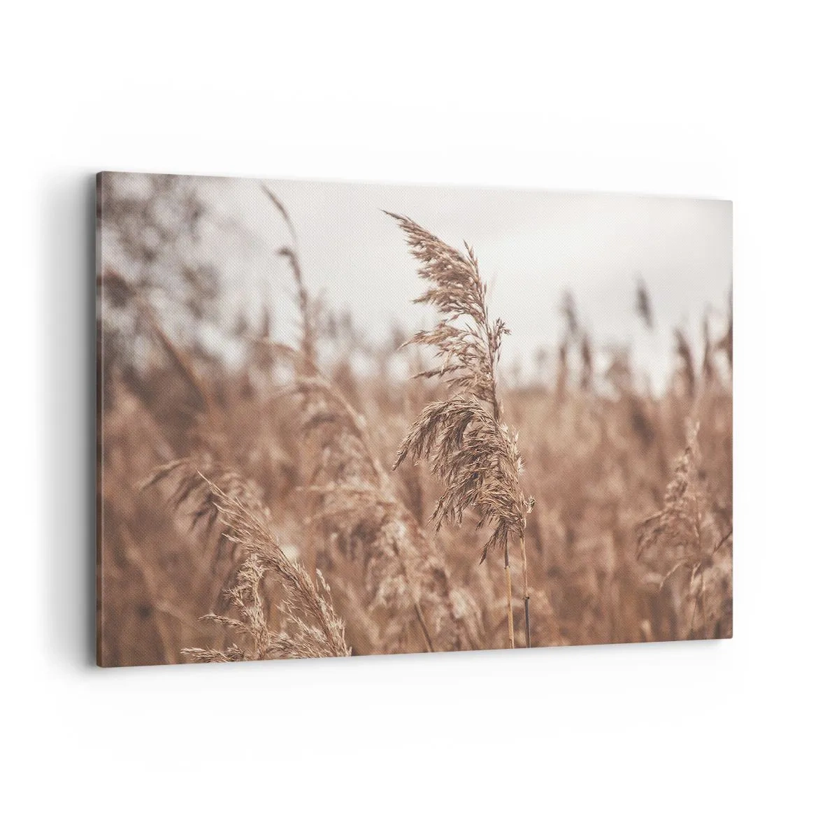 Tablou pe pânză - Toamna pe câmpuri - 120x80 cm