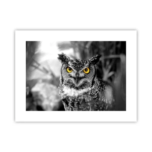 Poster - Nimic nu poate fi ascuns - 40x30 cm