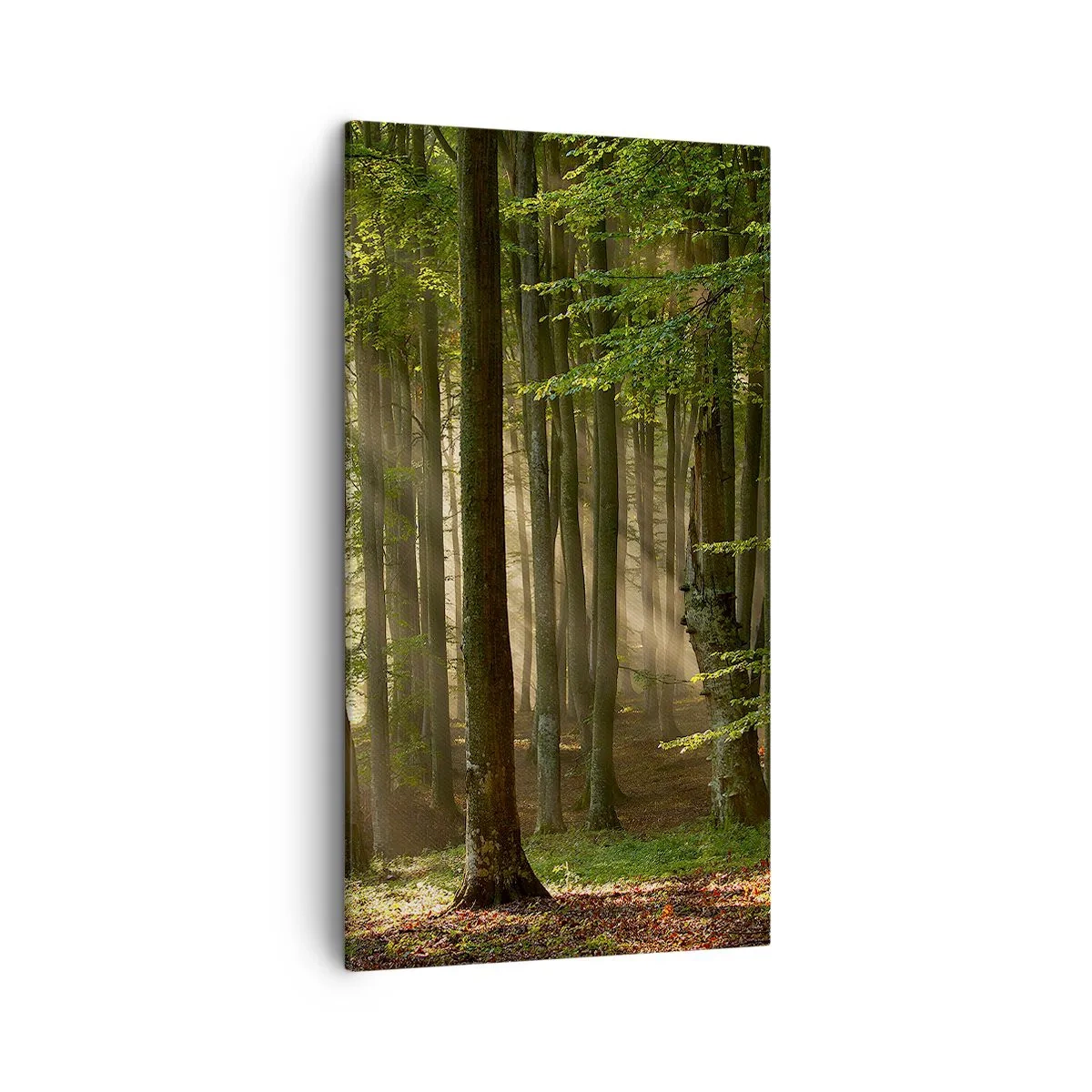 Tablou pe pânză - Strălucitoare într-o dimineață de primăvară - 45x80 cm