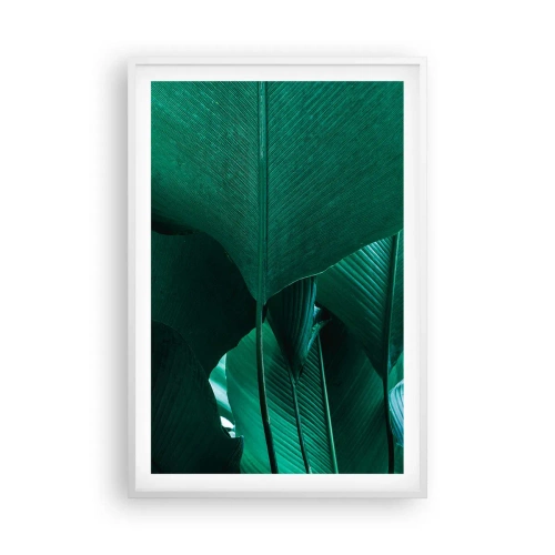 Poster în ramă albă - Cu frunza la lumină - 61x91 cm
