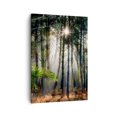 Tablou pe pânză - Pădure sălbatică - 50x70 cm