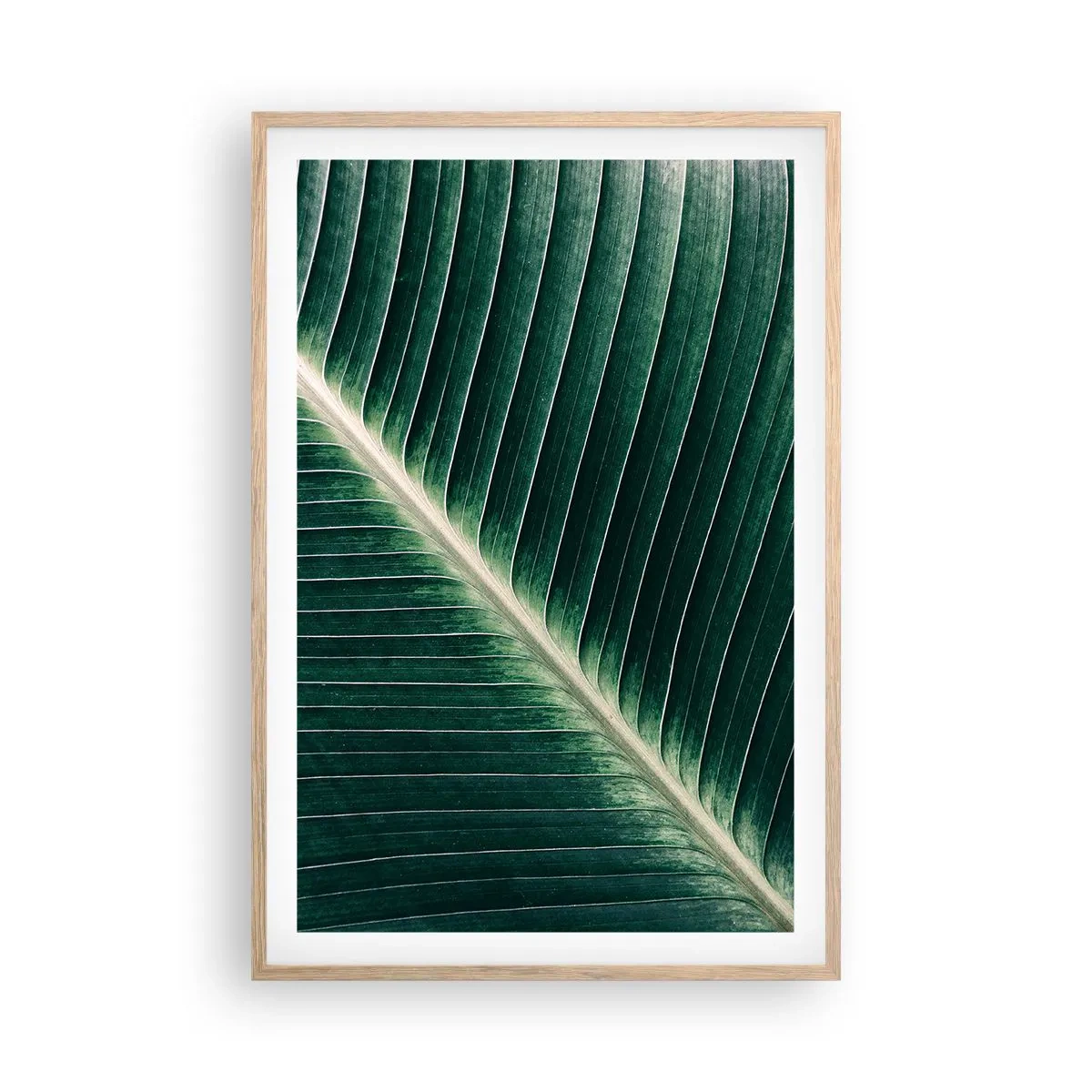 Poster în ramă de stejar deschis - Ritmul naturii - 61x91 cm