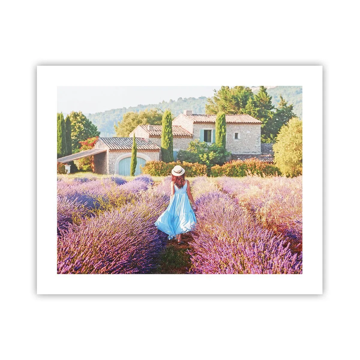 Poster - Fata de lavandă - 50x40 cm