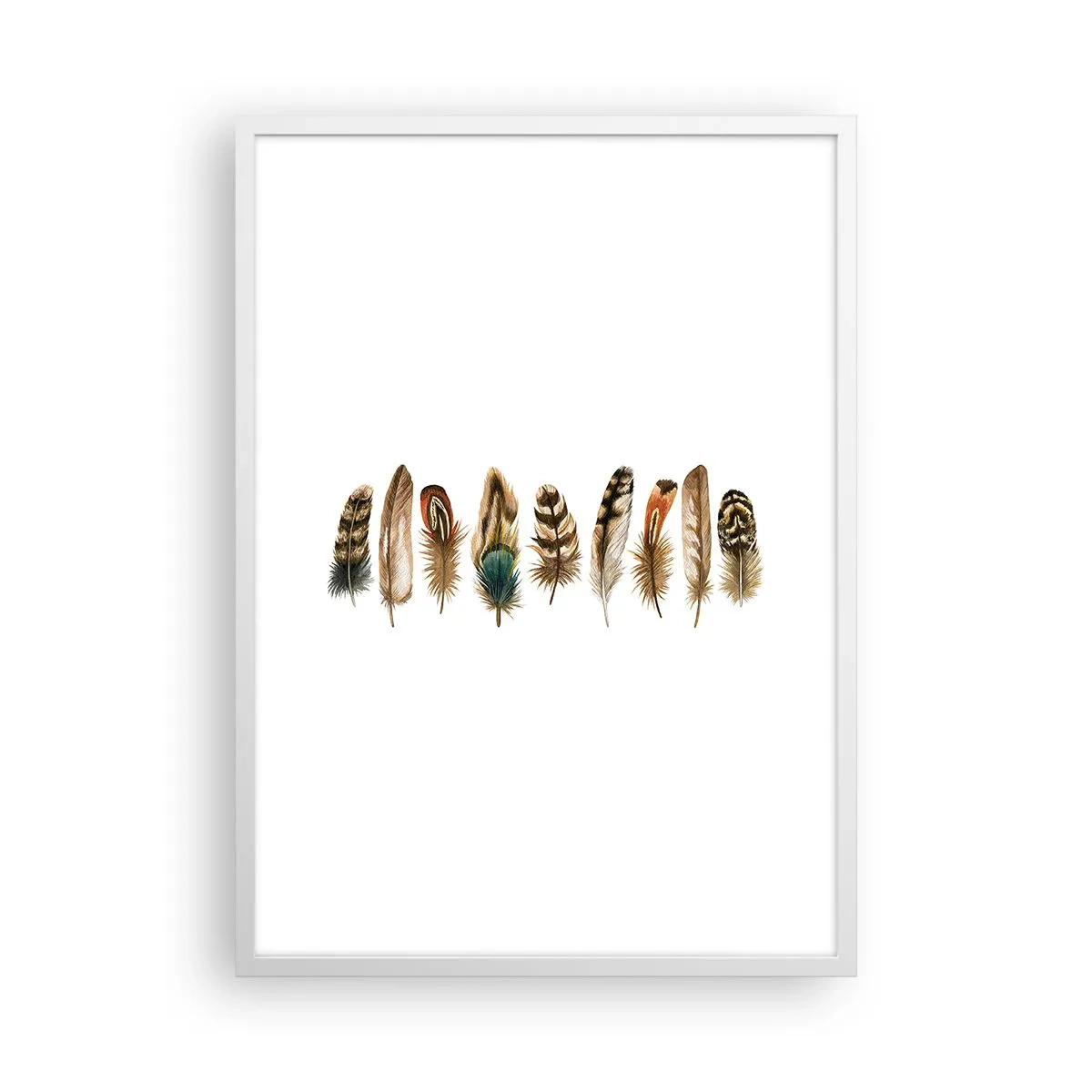 Poster în ramă albă - Variație cu pene - 50x70 cm