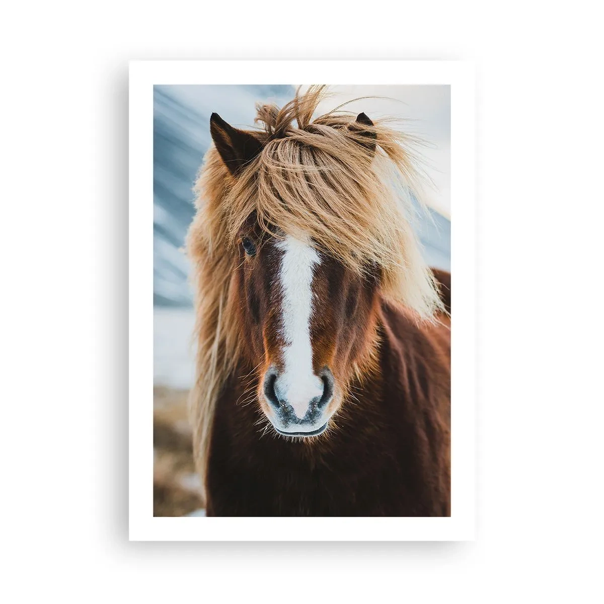 Poster - Simțiți libertatea? - 50x70 cm