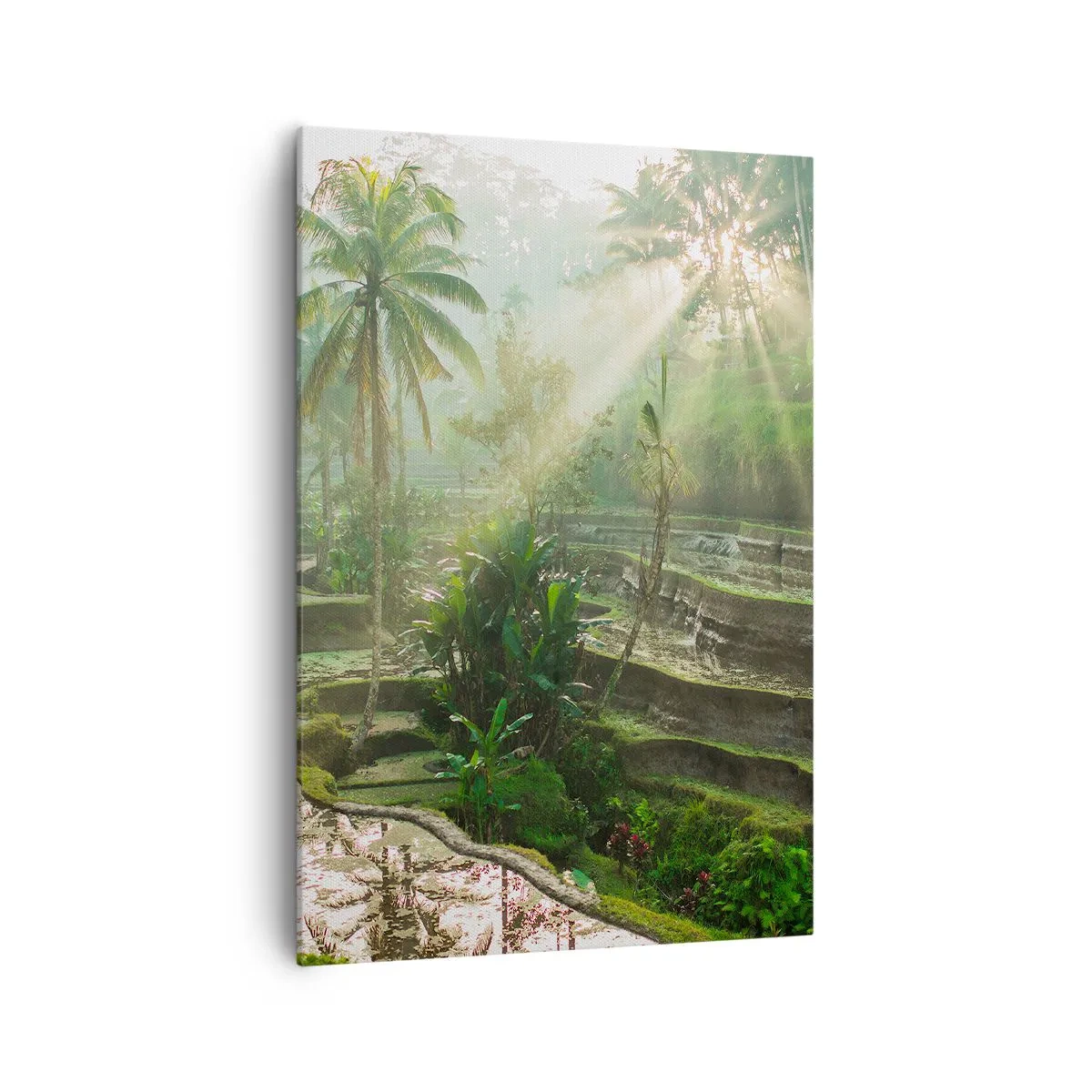 Tablou pe pânză - Crescând la soare - 70x100 cm