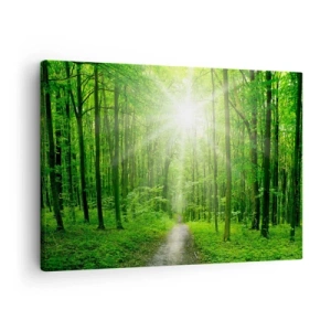 Tablou pe pânză Canvas - Cale în pădure cu raze de soare - 70x50cm - Catedrala verde - Decorațiune modernă pentru perete pentru living și dormitor ARTTOR