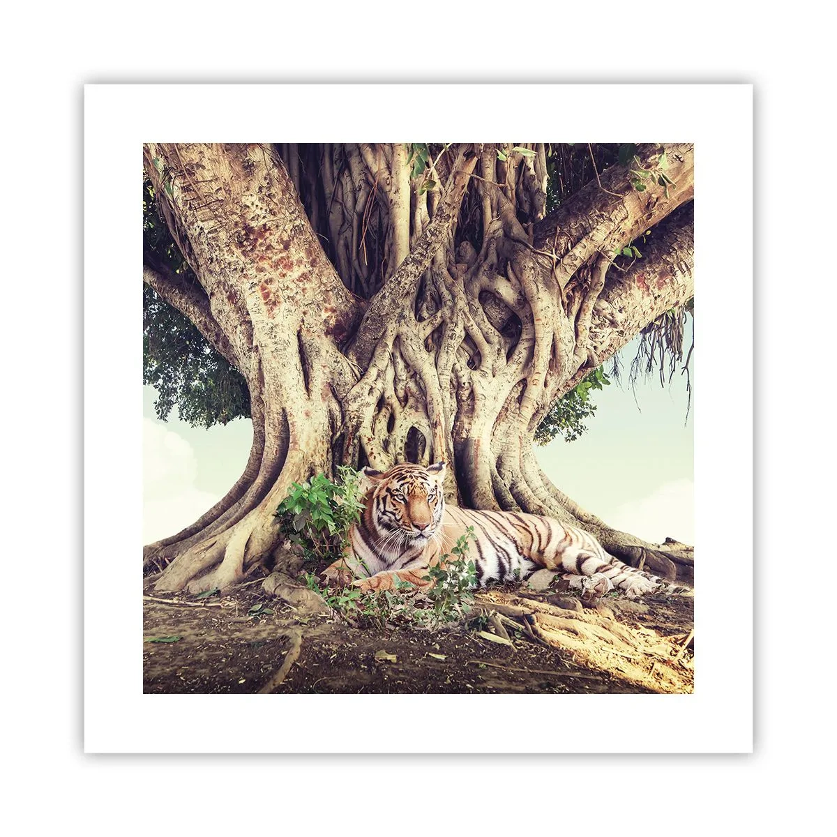 Poster - O perspectivă din Geneză - 40x40 cm