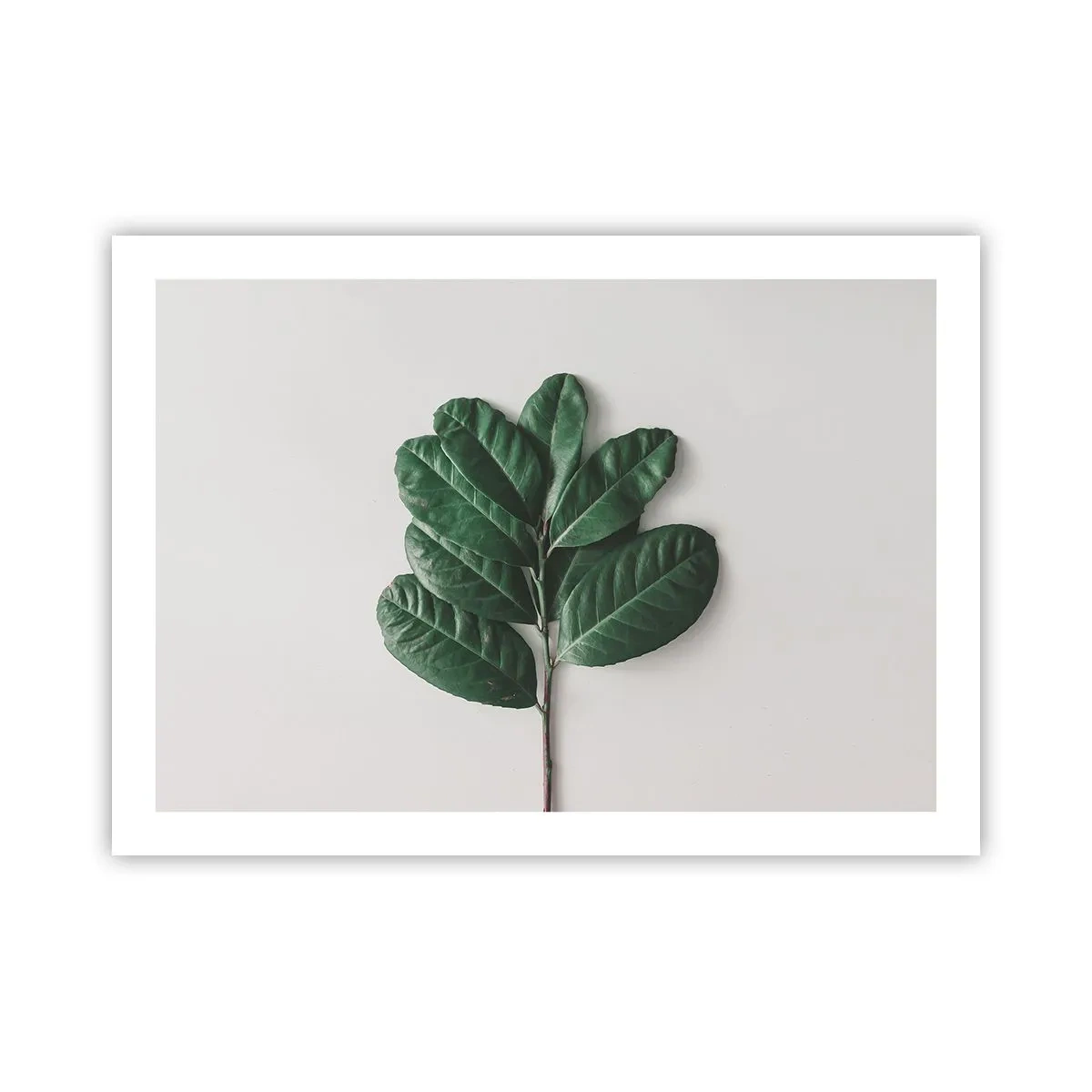 Poster - Desenul naturii însăși - 70x50 cm