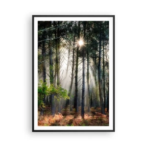 Poster în ramă neagră - Pădure sălbatică - 70x100 cm