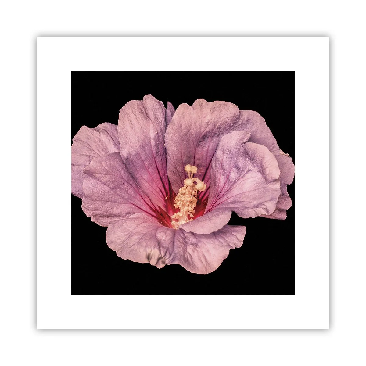 Poster - Direct la inimă - 30x30 cm