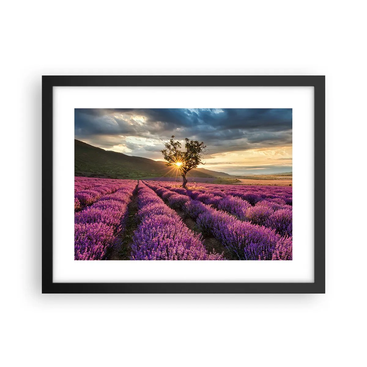 Poster în ramă neagră - Aroma în liliac - 40x30 cm