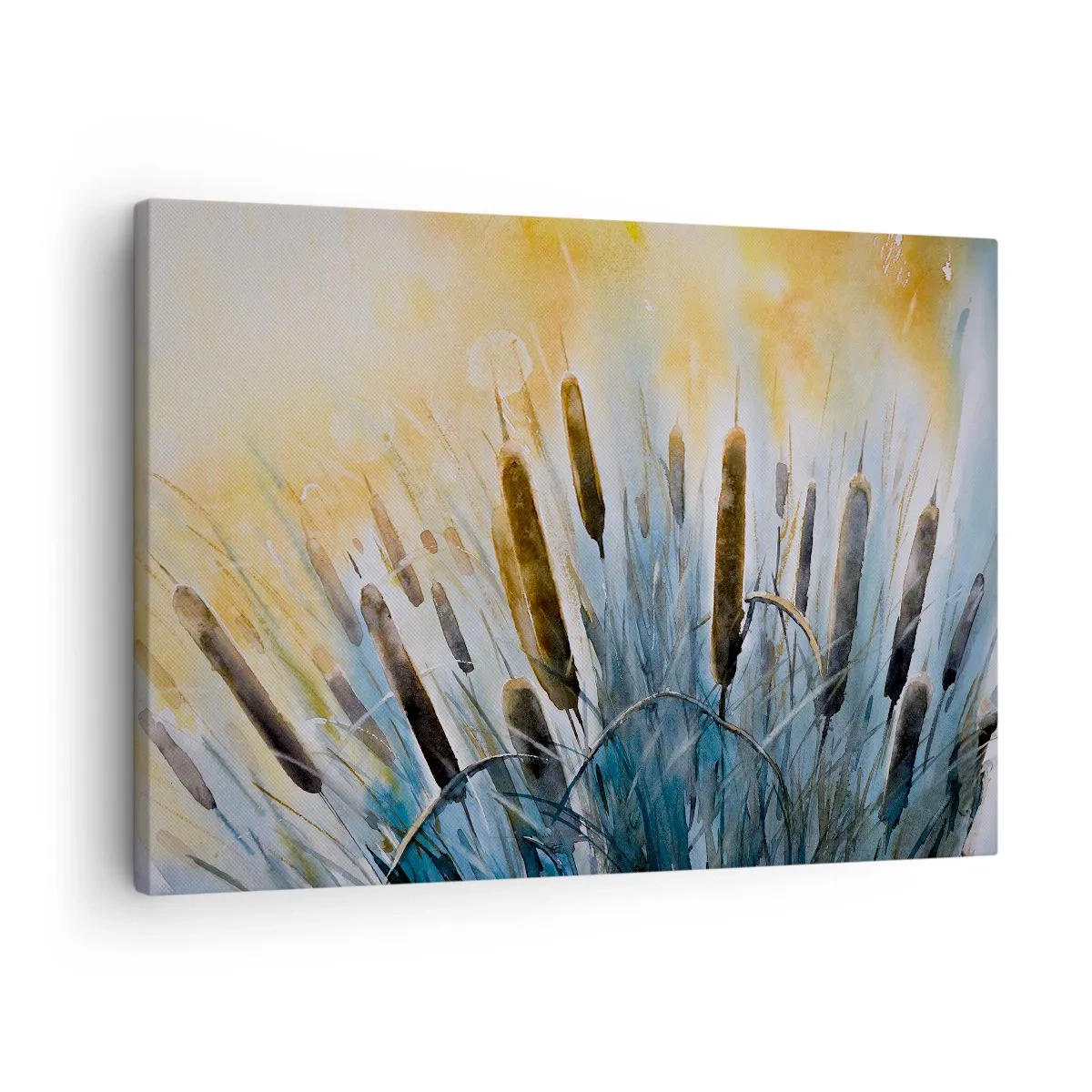Tablou pe pânză Canvas - Stuf pitoresc în razele soarelui - 70x50cm - Răcoarea apei, căldura soarelui - Decorațiune modernă pentru perete pentru living și dormitor ARTTOR