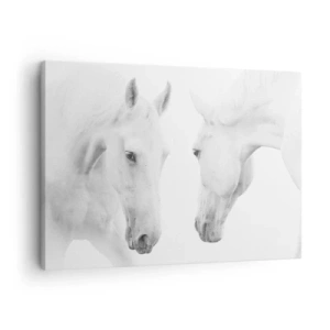 Tablou pe pânză Canvas - Un portret minimalist a doi cai albi - 70x50cm - Este aceasta o prietenie...? - Decorațiune modernă pentru perete pentru living și dormitor ARTTOR
