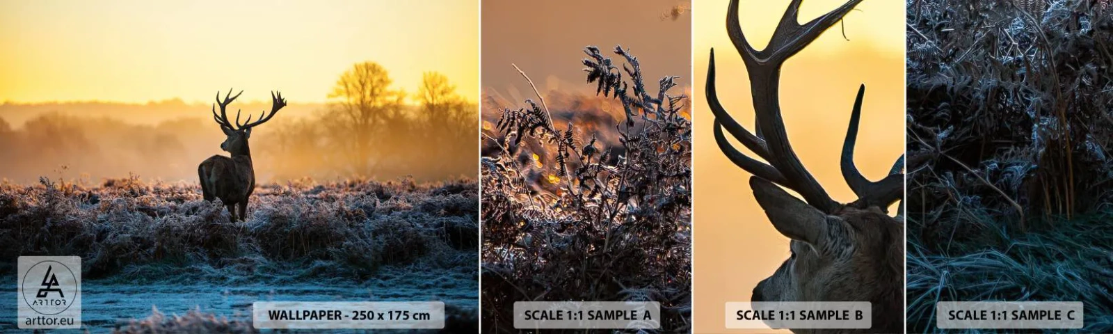 Mostră tapet autocolant Deluxe Sticker - Încoronat pe domeniul său - Peisaj, Animale, Cerb - 100x30 cm