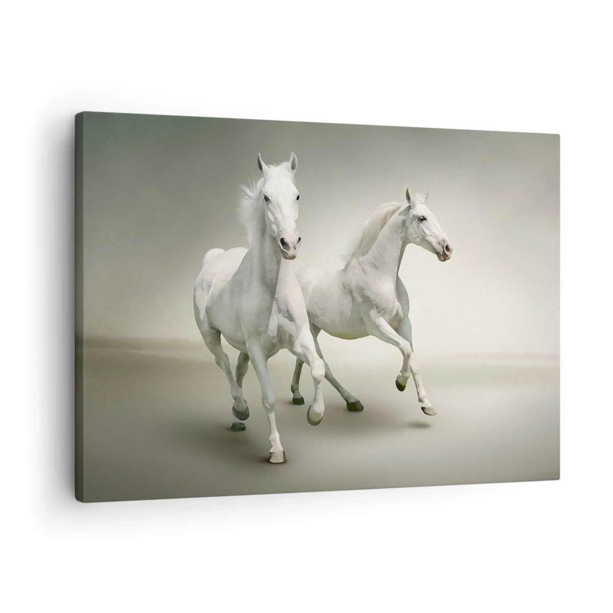 Tablou pe pânză Canvas - Doi cai albi galopând pe un fundal luminos - 70x50cm - White power! - Decorațiune modernă pentru perete pentru living și dormitor ARTTOR