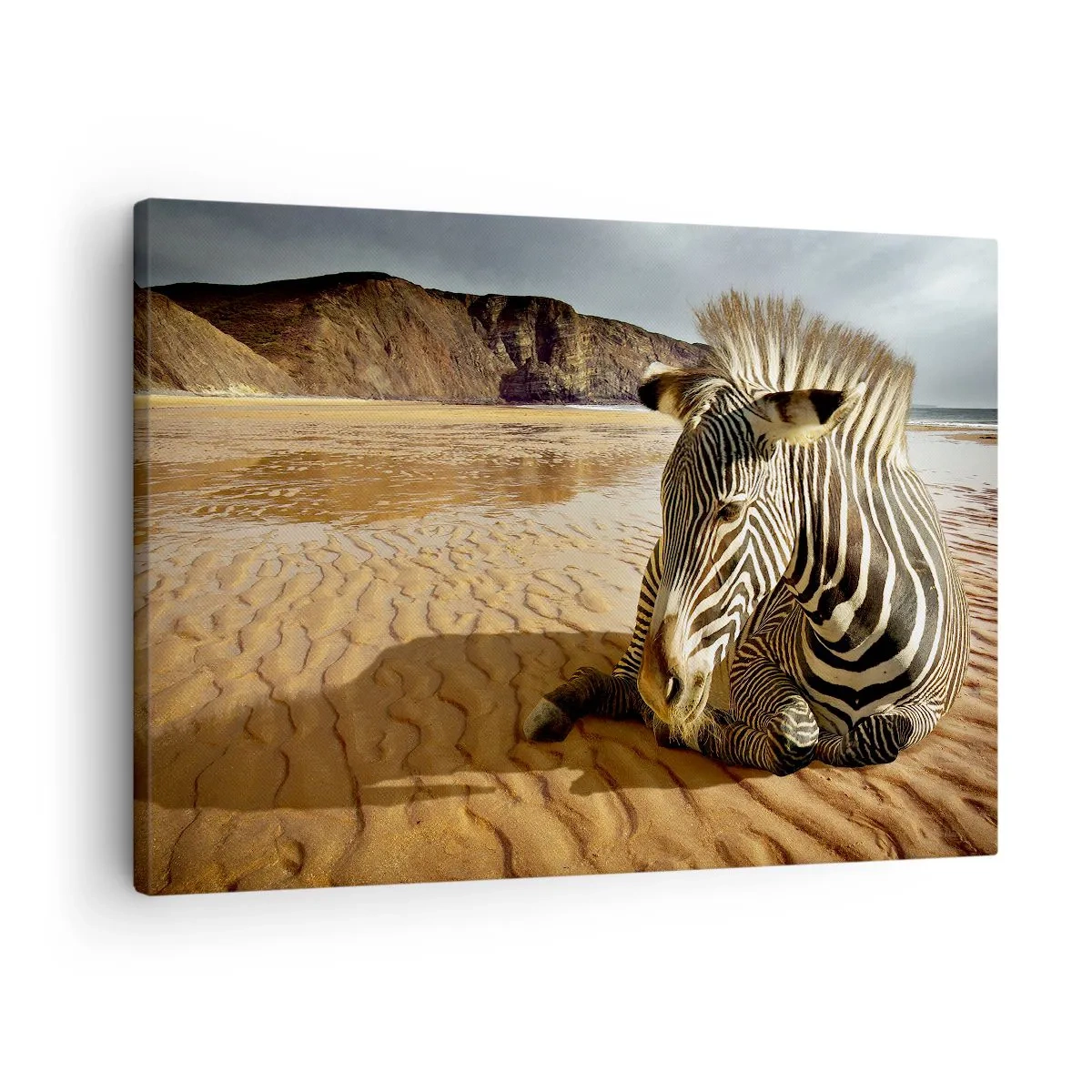 Tablou pe pânză Canvas - O zebră se odihnește pe o plajă nisipoasă cu stânci în fundal. - 70x50cm - Ne potrivim împreună - Decorațiune modernă pentru perete pentru living și dormitor ARTTOR