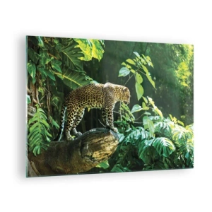 Tablou pe sticlă - Leopard pe o stâncă în jungla tropicală - 70x50cm - La vânătoare? - Decorațiune modernă pentru perete pentru living și dormitor ARTTOR