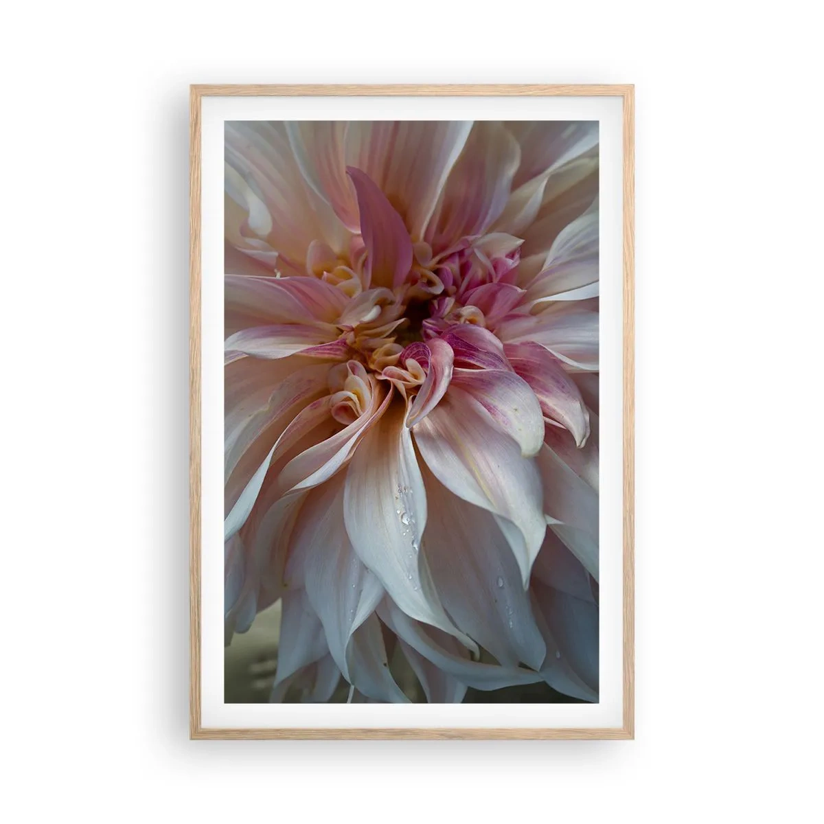 Poster în ramă de stejar deschis - Prospețime înfloritoare - 61x91 cm