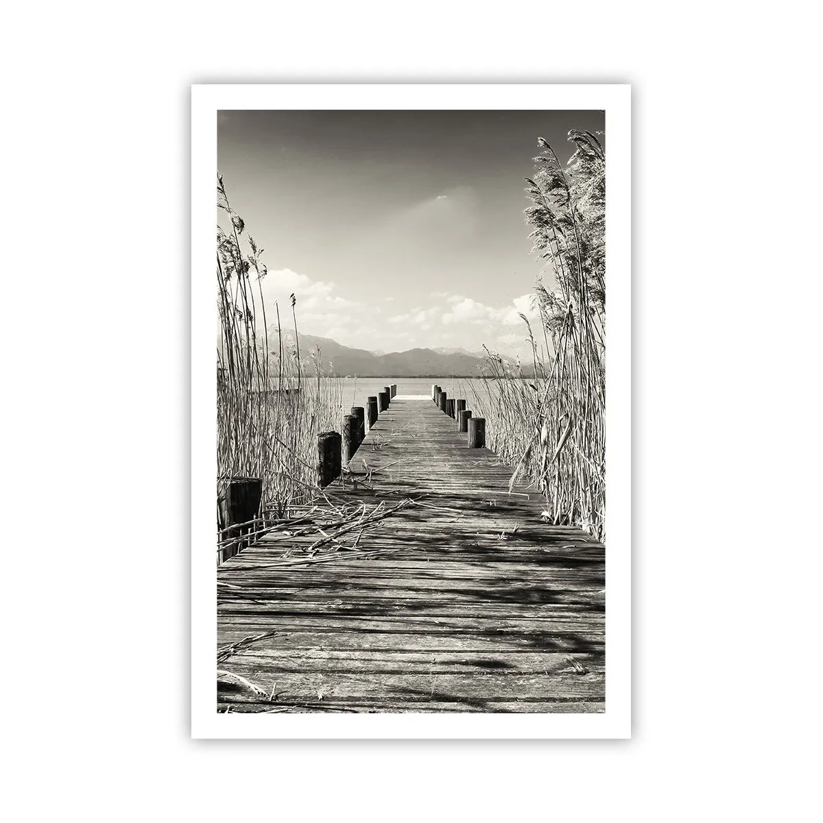 Poster - În intimitatea ierburilor - 61x91 cm