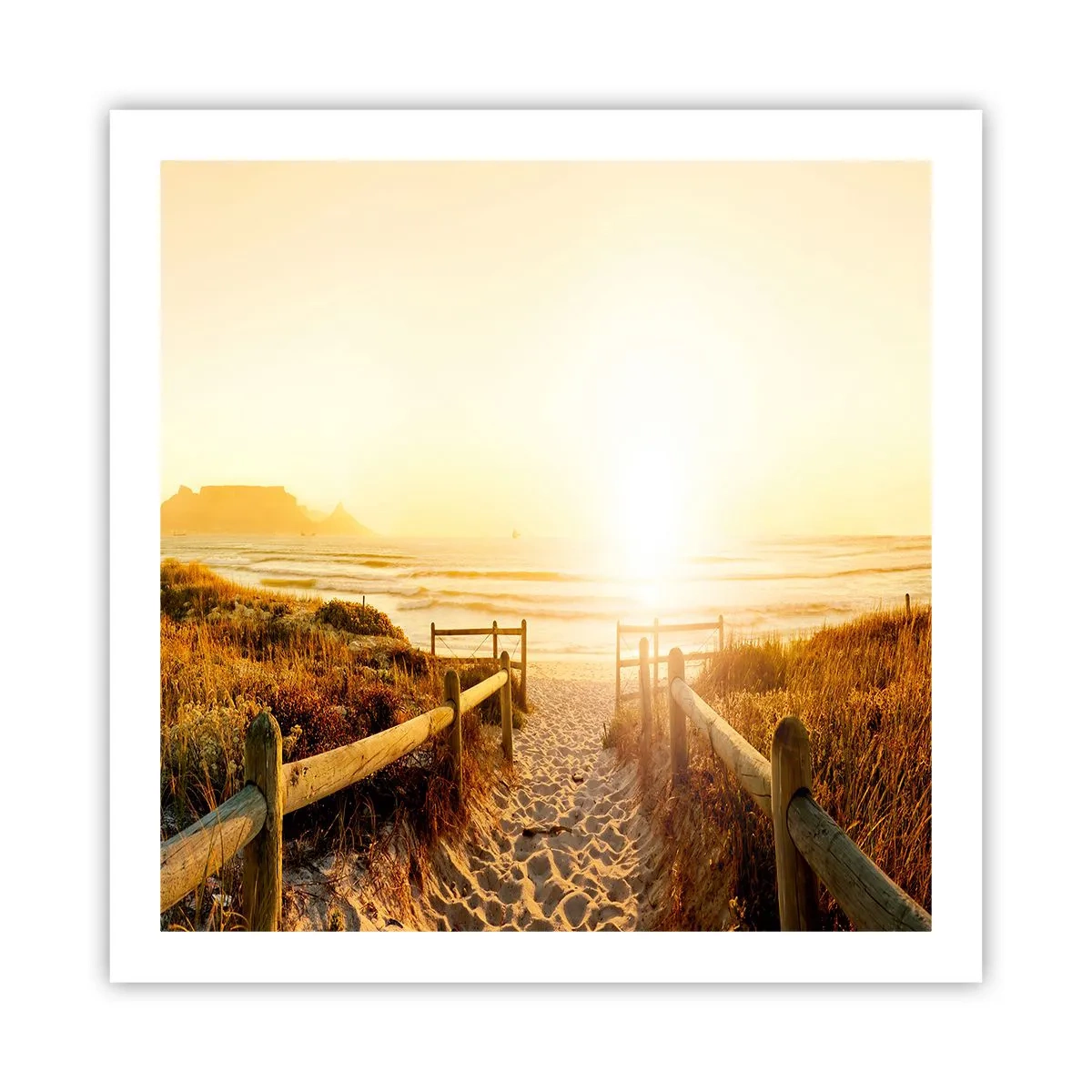Poster - Prin dune spre soare - 60x60 cm