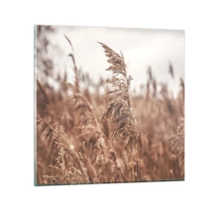 Tablou pe sticlă - Toamna pe câmpuri - 60x60 cm