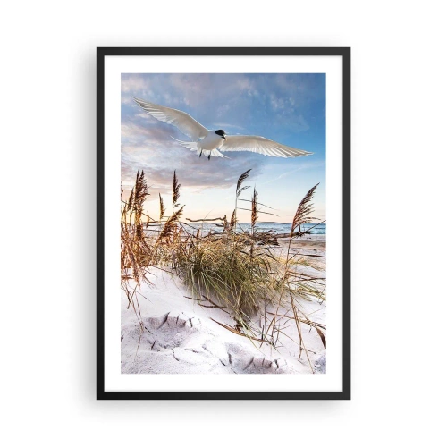 Poster în ramă neagră - O pasăre în zbor peste dune și mare la apus - 50x70cm - Vânt dinspre mare - Decorațiune modernă pentru perete pentru living și dormitor ARTTOR