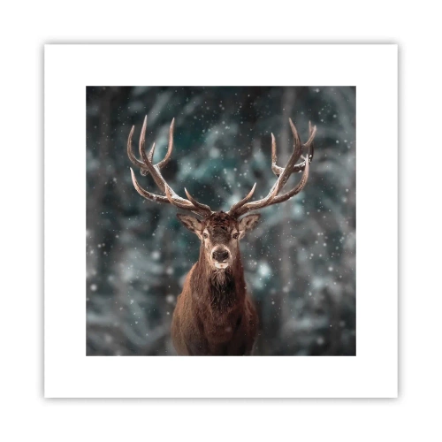 Poster - Regele pădurii a fost încoronat - 30x30 cm