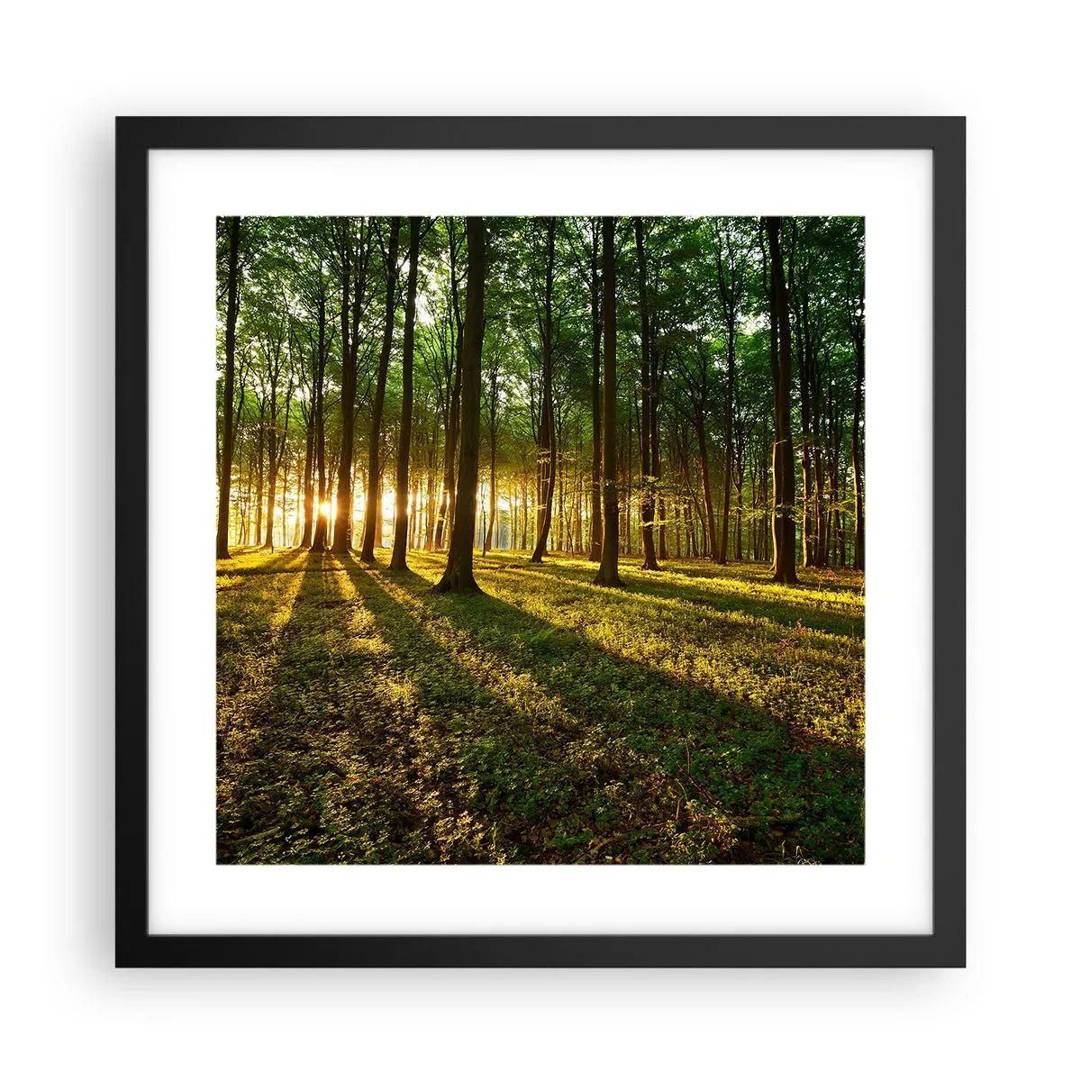 Poster în ramă neagră - Fotografia tuturor primăverilor - 40x40 cm