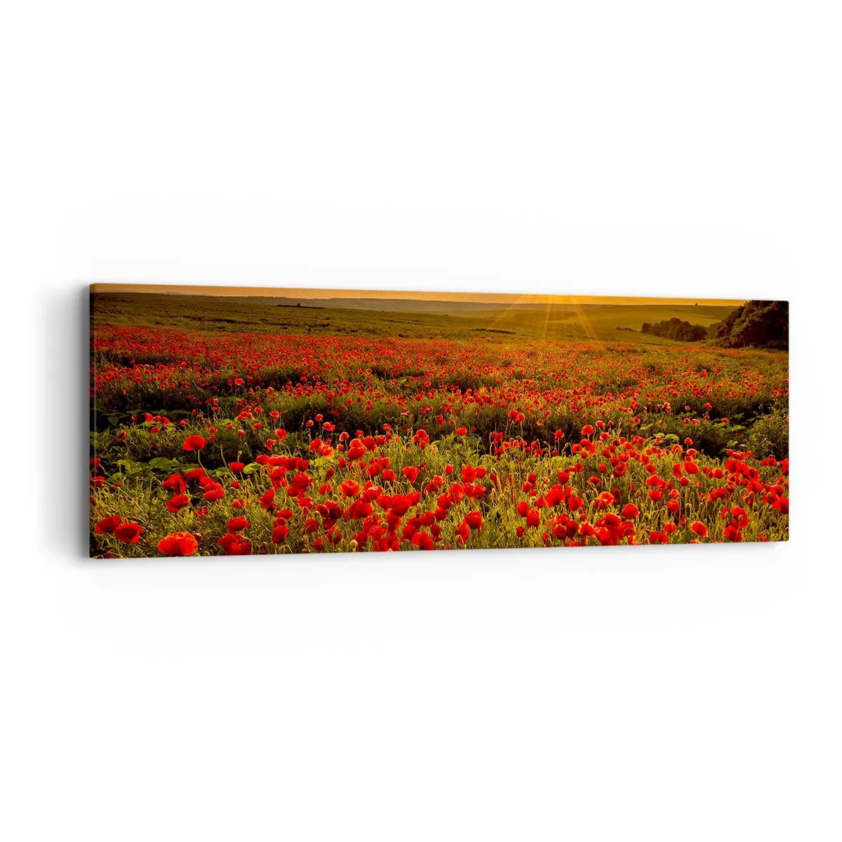 Tablou pe pânză - Printre valuri de pajiști care zumzăie, printre potop de flori - 90x30 cm