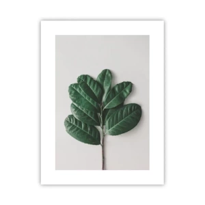 Poster - Desenul naturii însăși - 30x40 cm