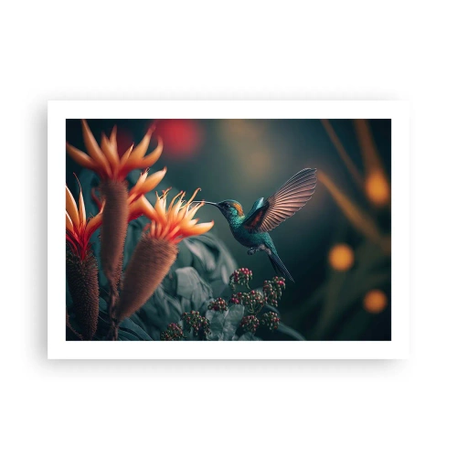 Poster - Viață cu adevărat colorată - 70x50 cm