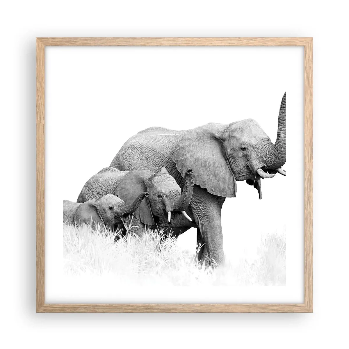 Poster în ramă de stejar deschis - Unu, doi, trei - 50x50 cm