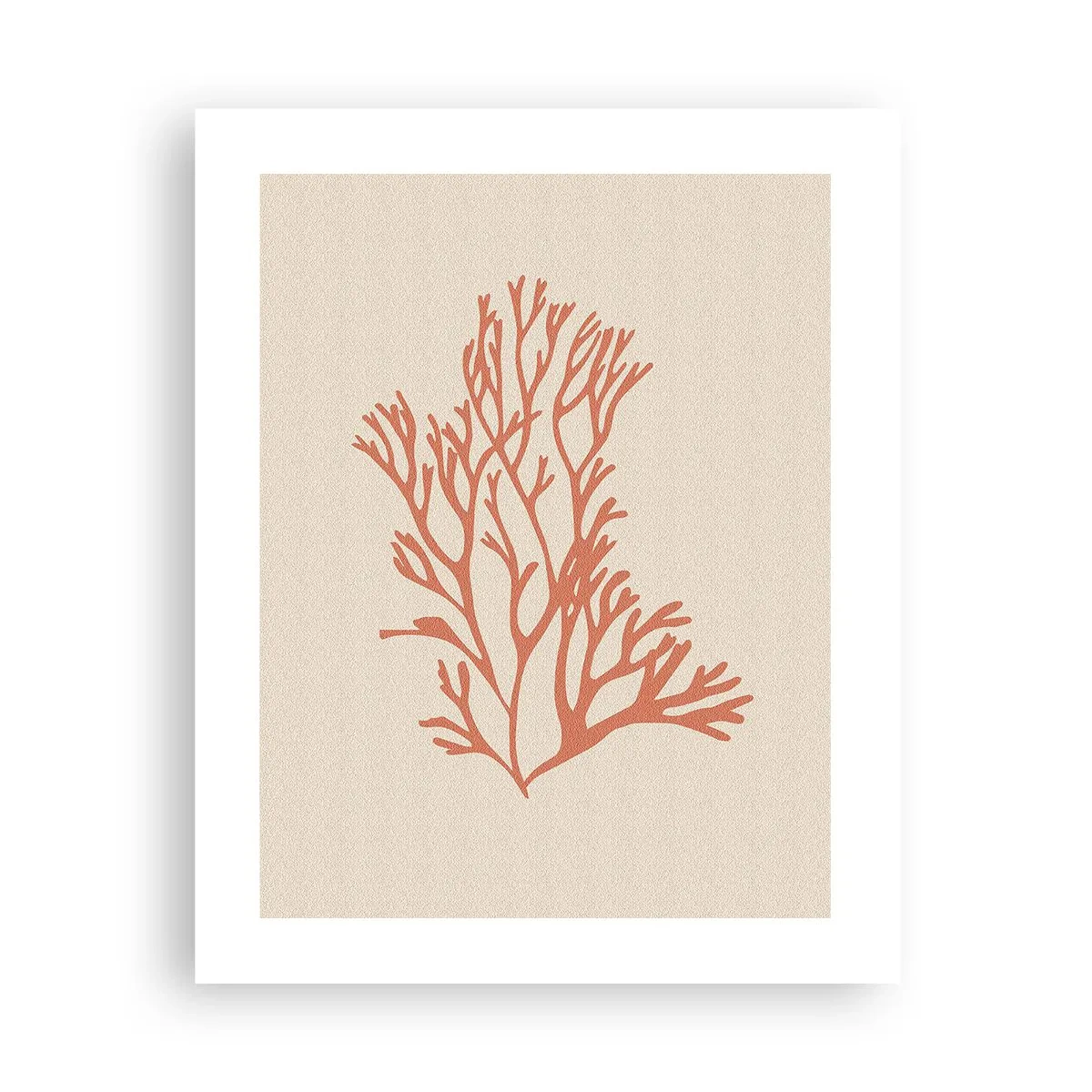 Poster - Coral filigranat - 40x50 cm
